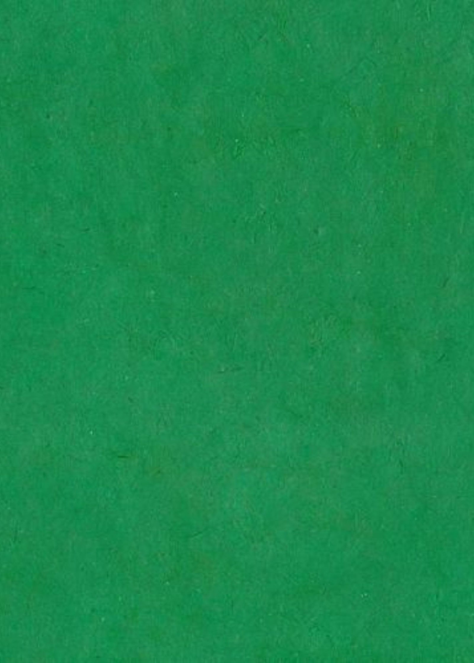 Nepalese Lokta Grass Green