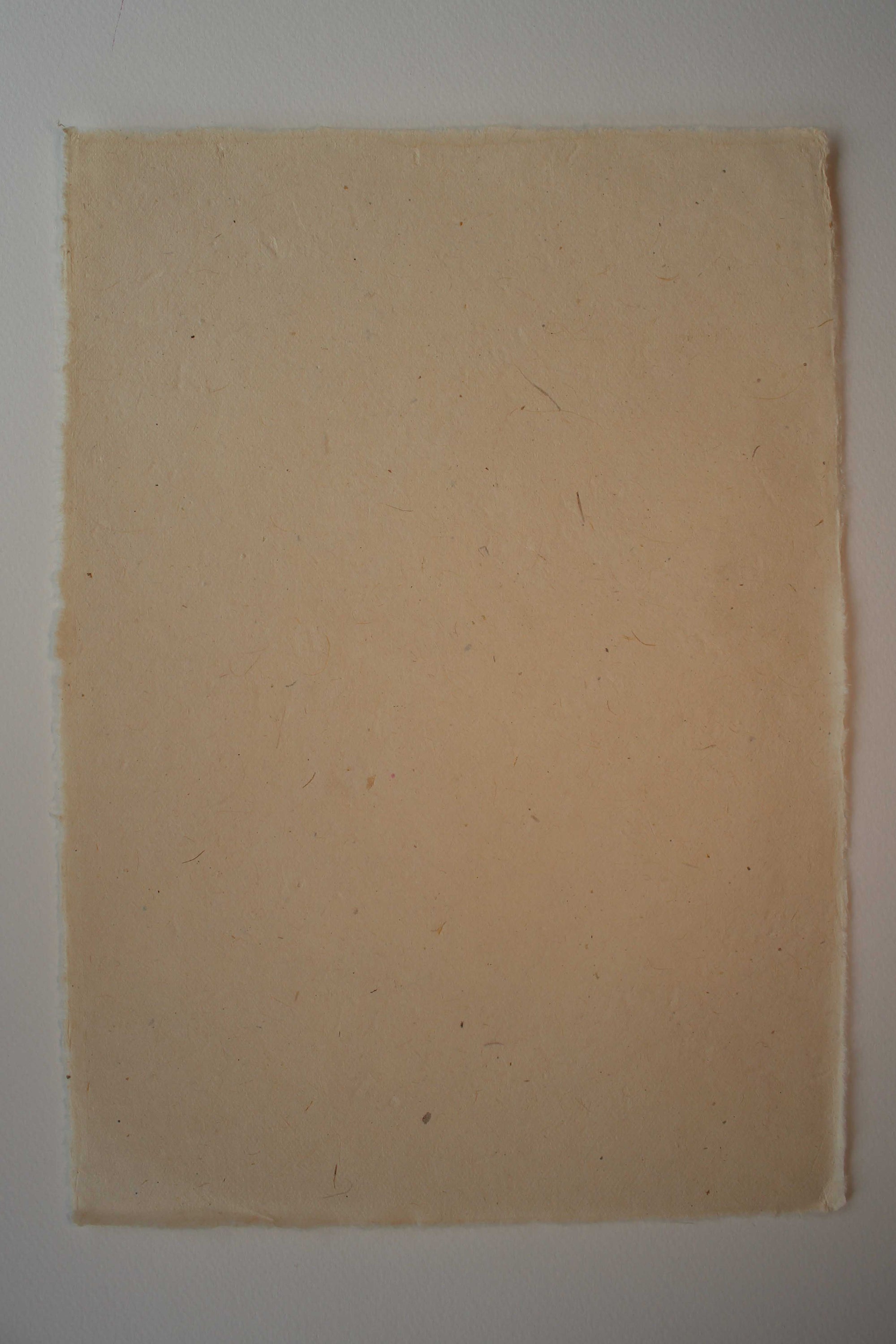 Nepalese Lokta Natural Rough Edge 210x290 50g - Liberties Papers