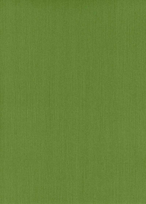 Japanese Linen Card Moss Green - Liberties Papers