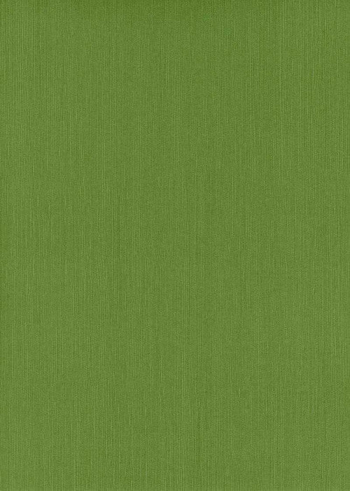 Japanese Linen Card Moss Green - Liberties Papers