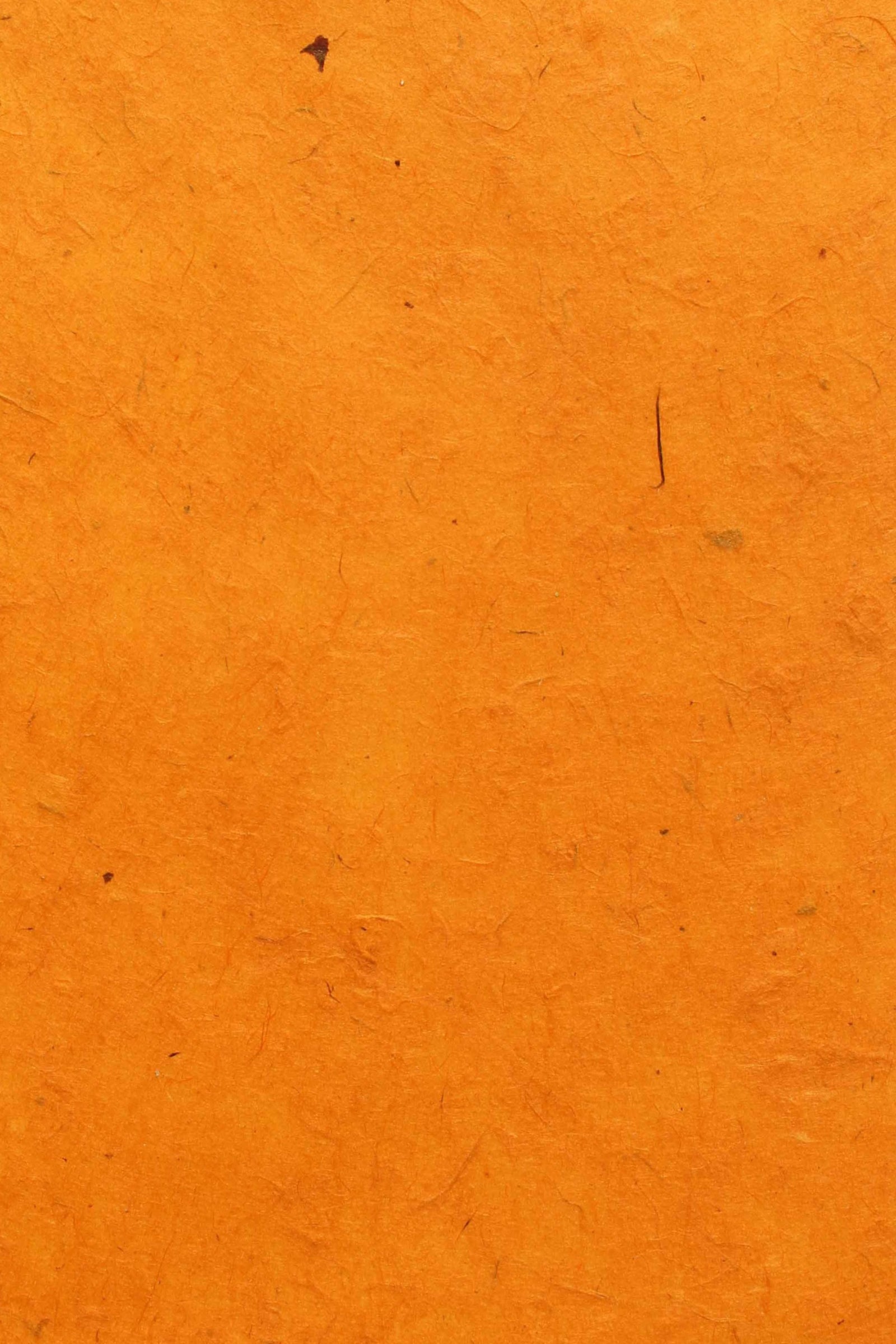 Nepalese Lokta Mango A4 - Liberties Papers