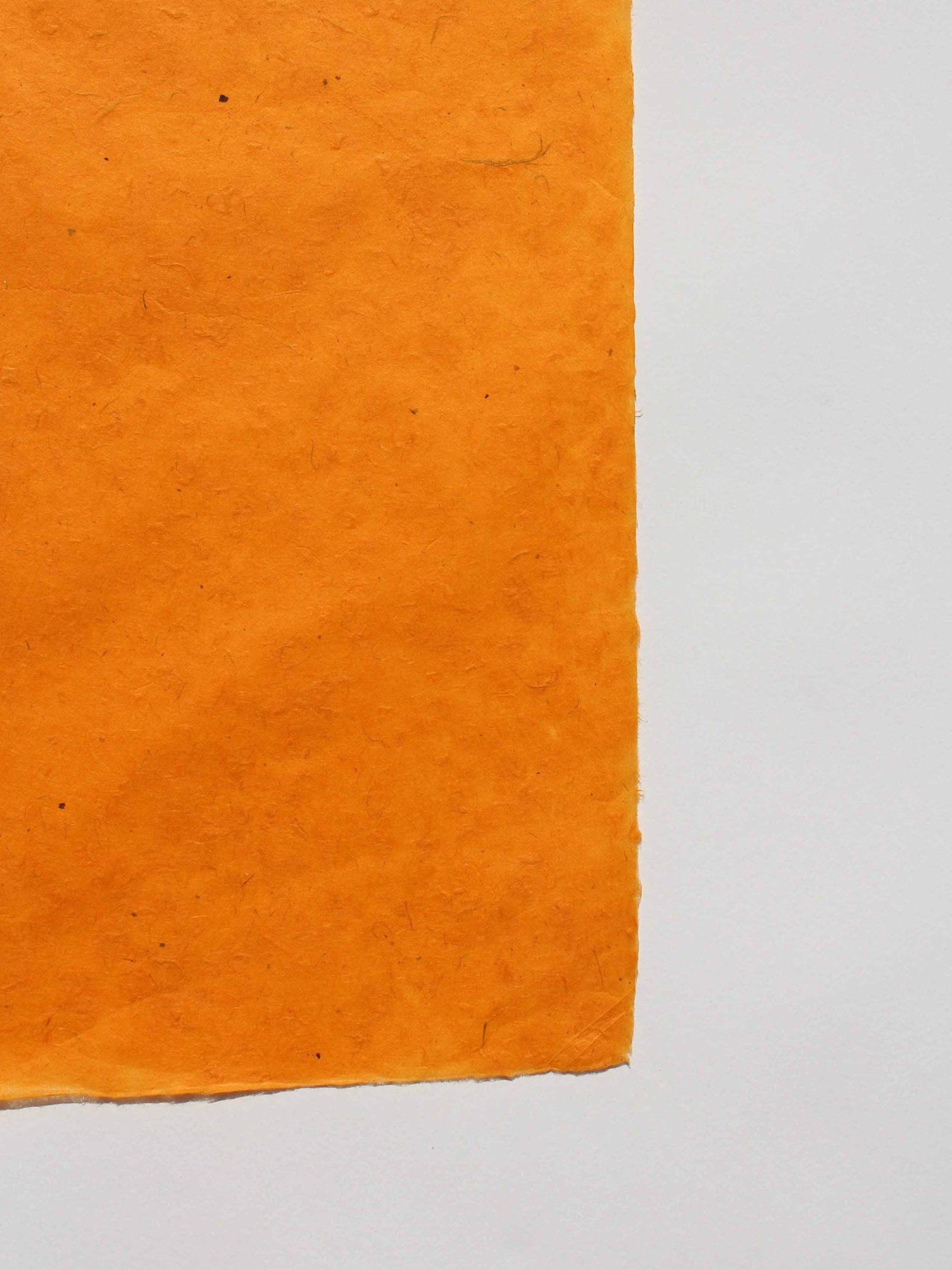 Nepalese Lokta Mango - Liberties Papers