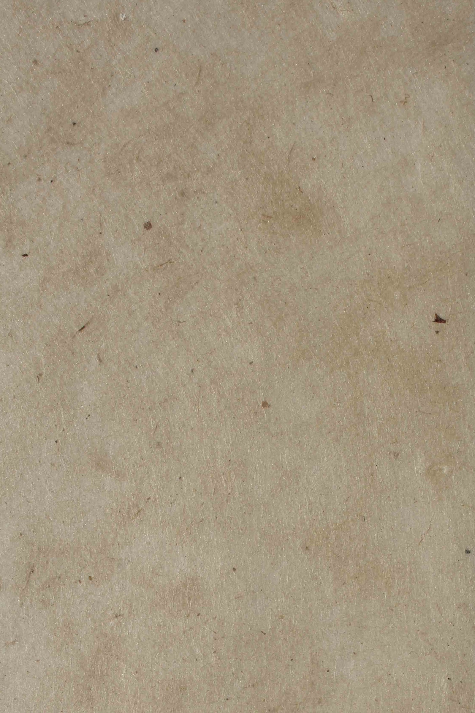 Nepalese Lokta Natural 30g A4 - Liberties Papers