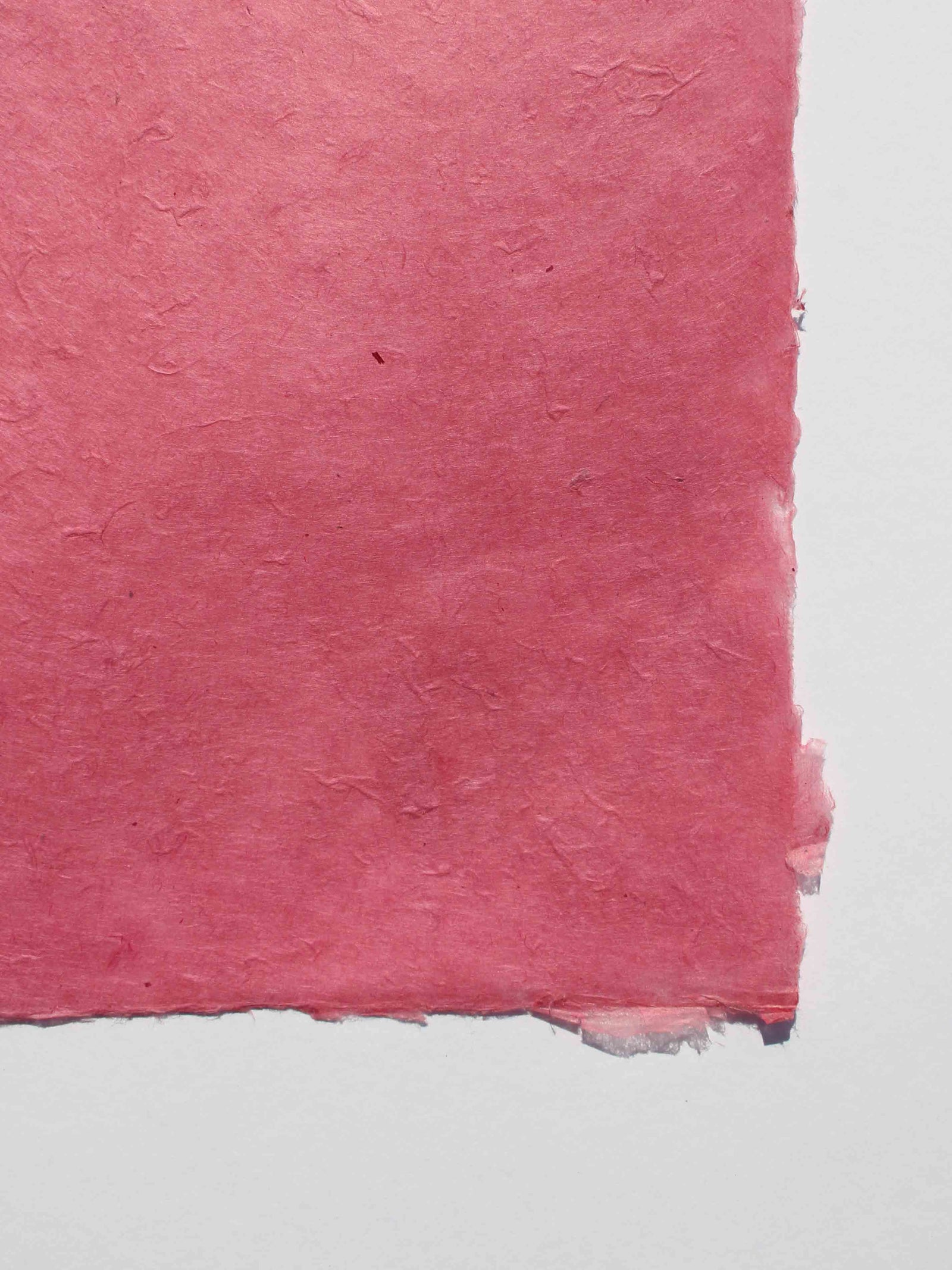 Nepalese Lokta Pink - Liberties Papers