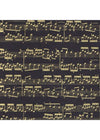 Nepalese Golden Music - Liberties Papers