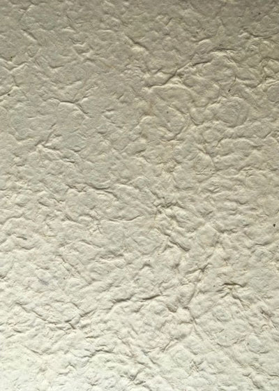 Nepalese Lokta Natural 155g - Liberties Papers