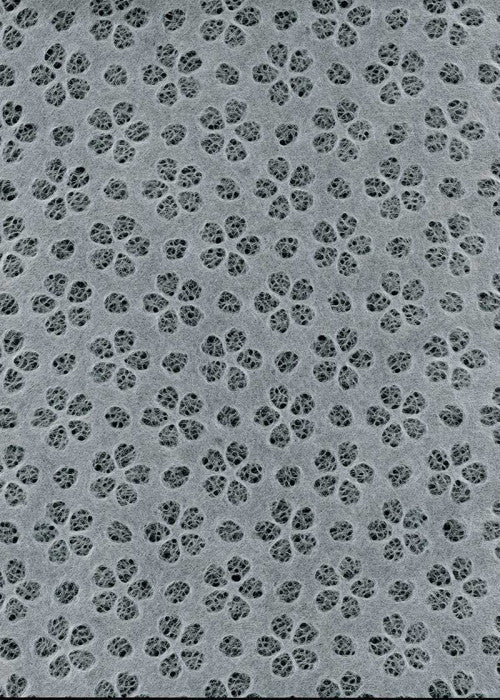 Sakura White - Liberties Papers