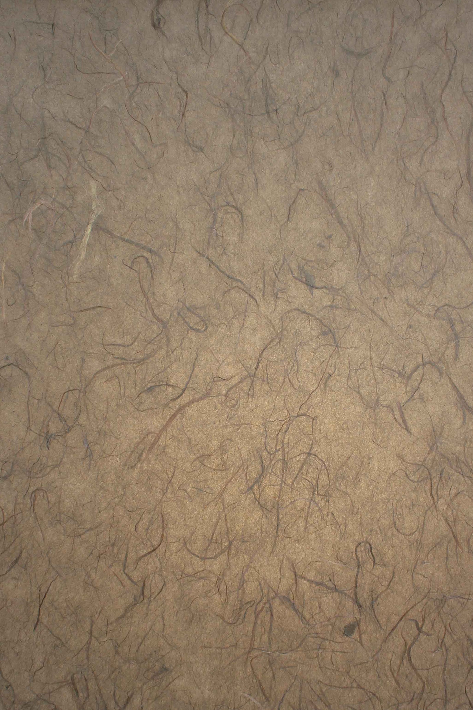 Thai Silk Milk Chocolate Brown - Liberties Papers