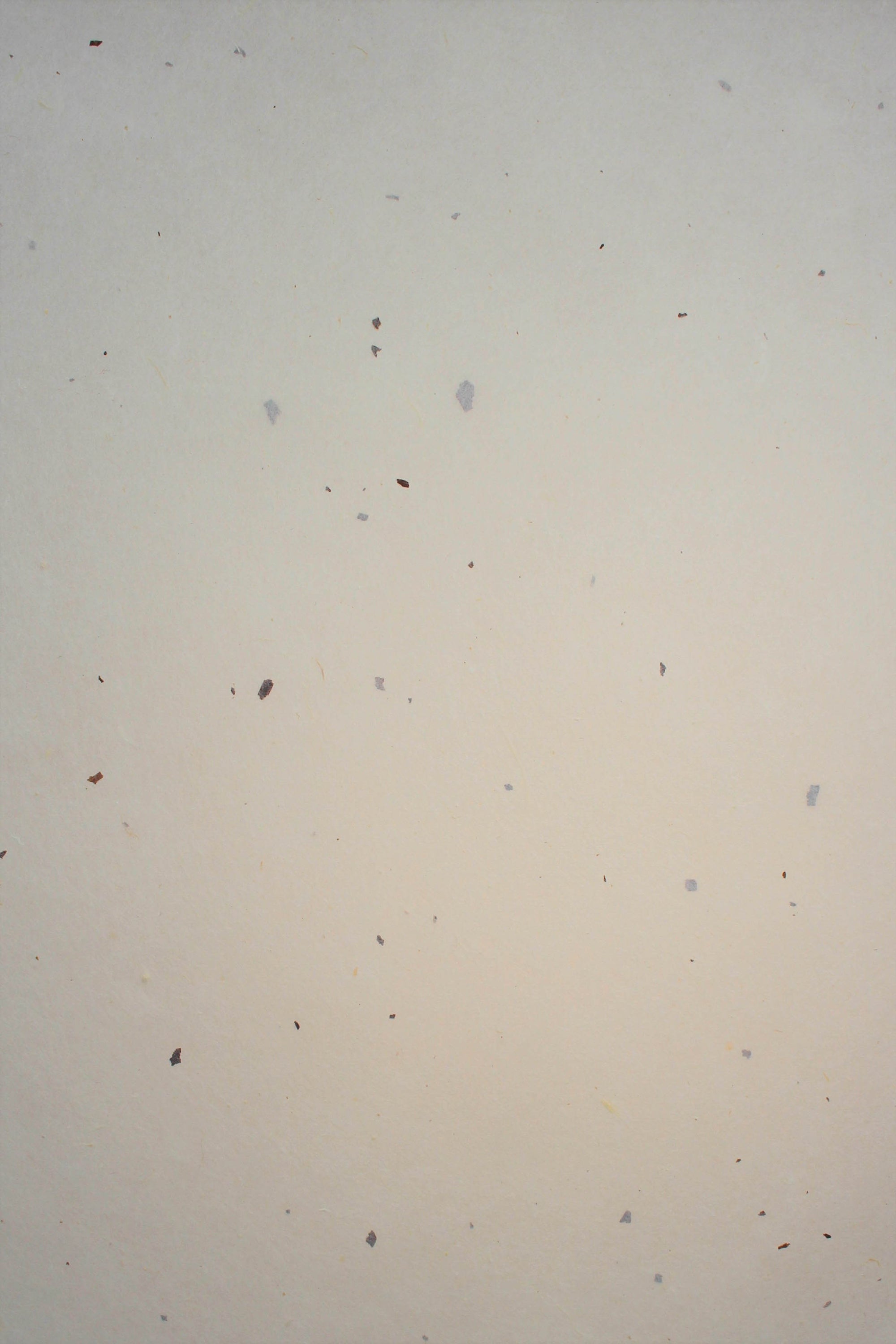 Thai Silk Natural Plain - Liberties Papers
