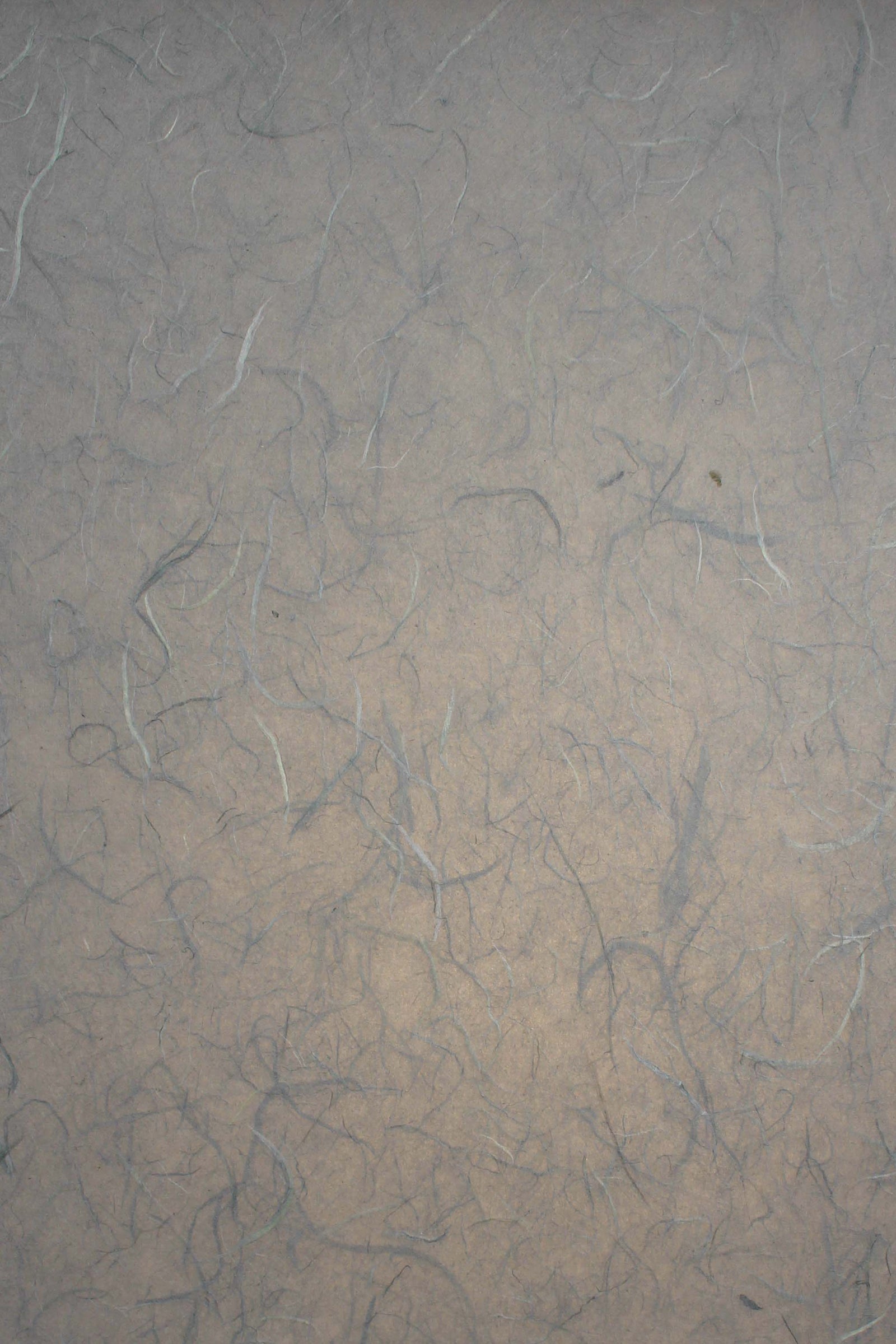 Thai Silk Taupe - Liberties Papers