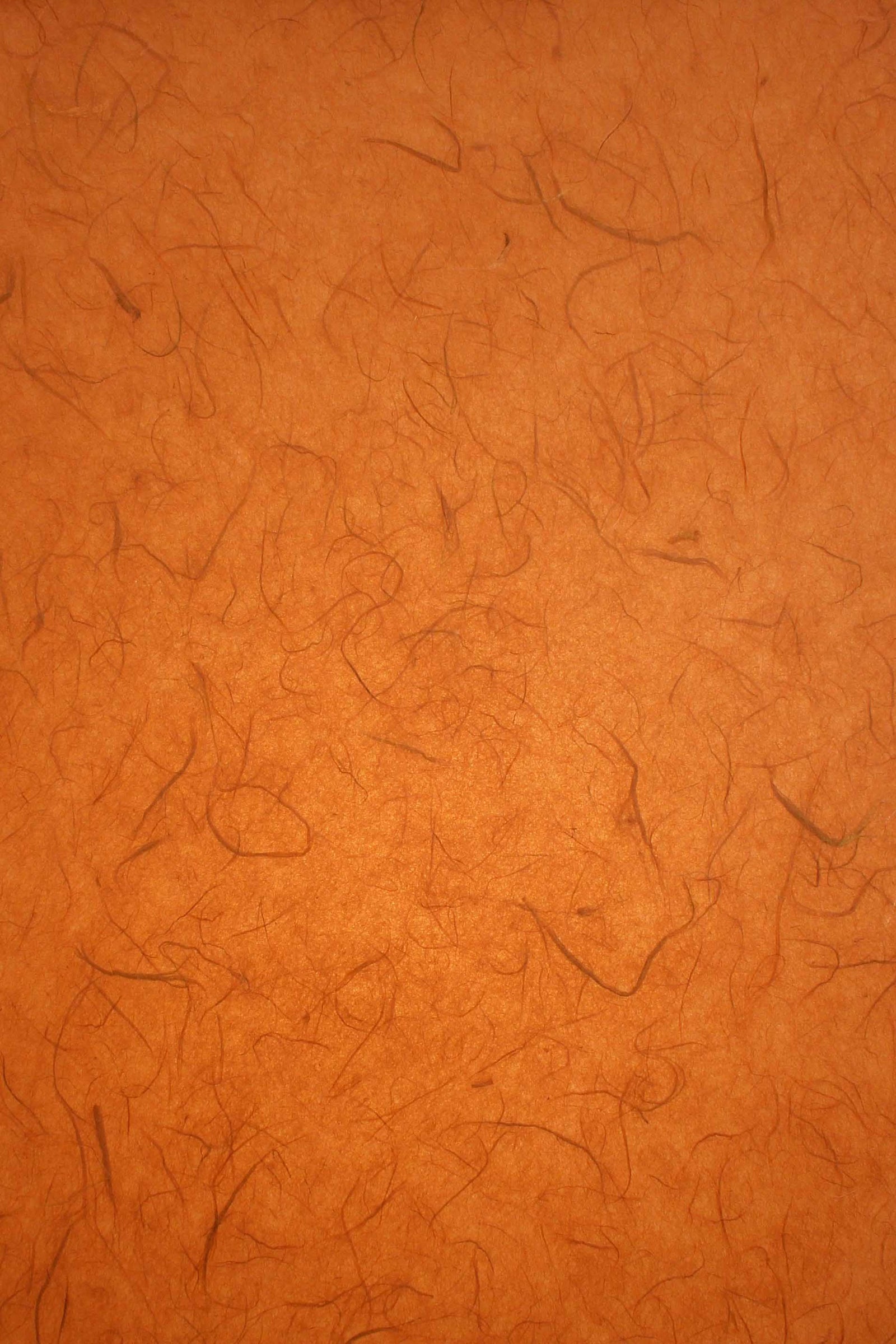 Thai Silk Rust - Liberties Papers