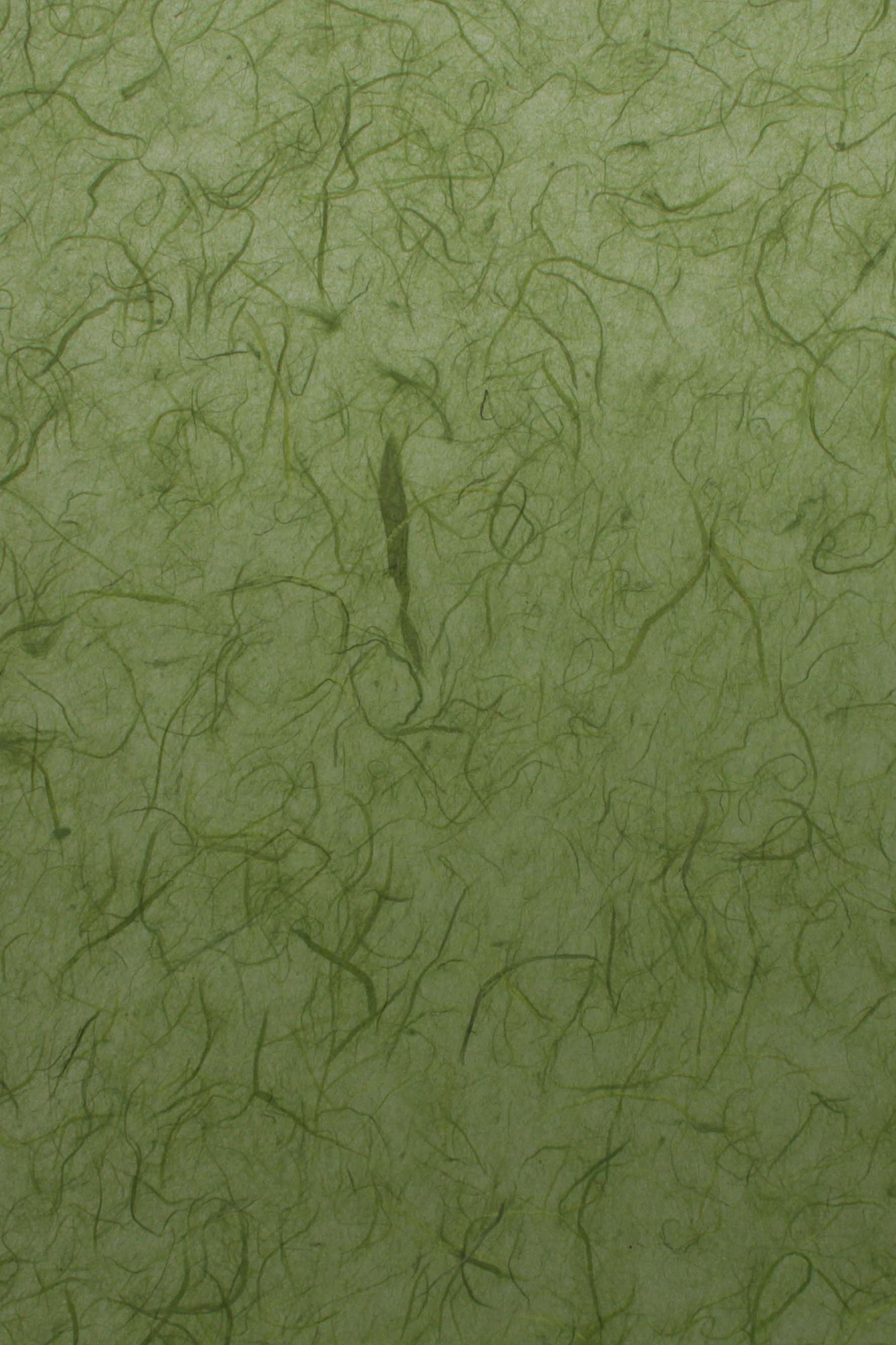 Thai Silk Moss Green - Liberties Papers