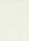 Obonai Ivory - Liberties Papers