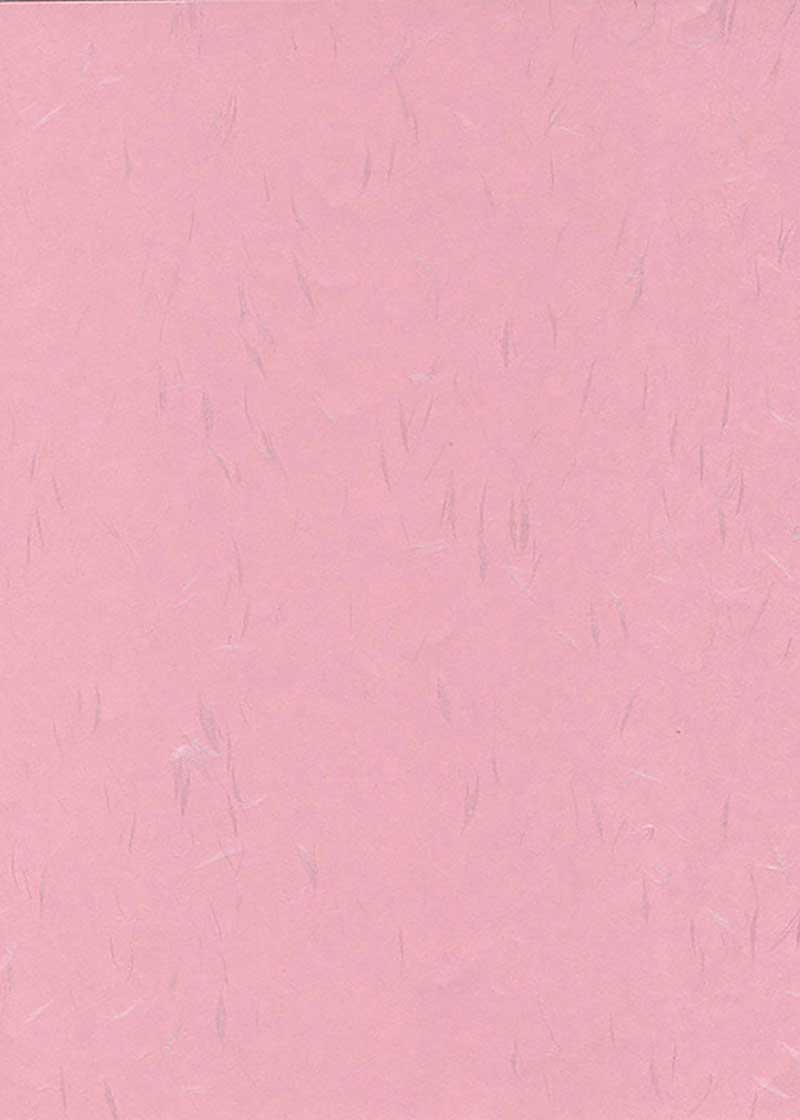 Tairei Rose - Liberties Papers