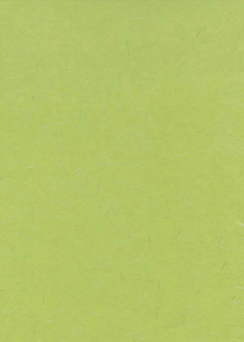 Tairei Apple Green - Liberties Papers