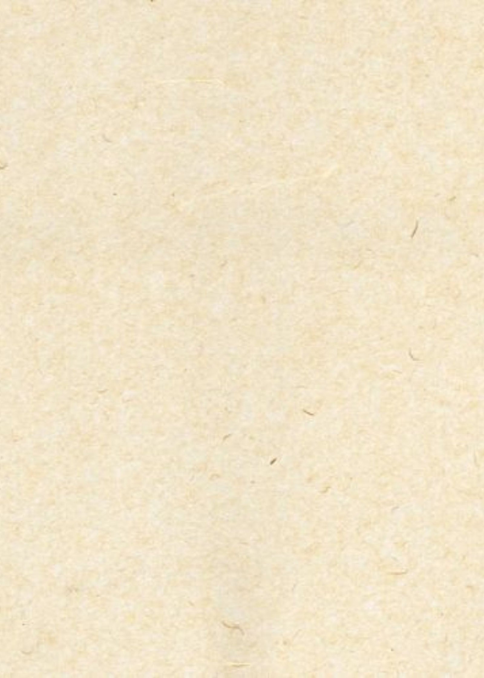 Thai Kozo and Bamboo