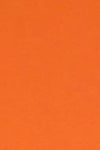 Fabriano Tiziano Arancio - Liberties Papers