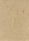 Tokushi Gampi 120gsm - Liberties Papers