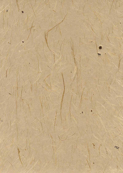 Tokushi Gampi 120gsm - Liberties Papers