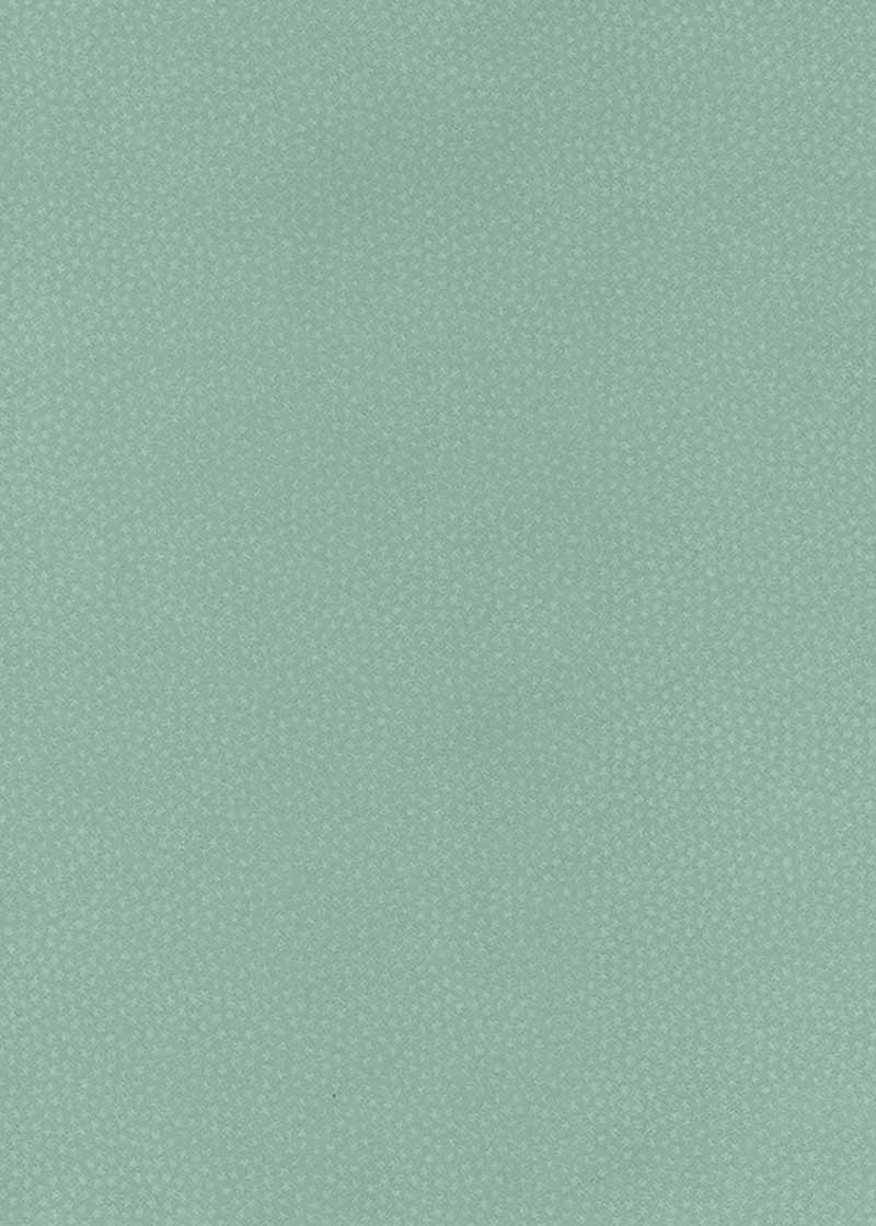 Edo Kosome Aqua - Liberties Papers