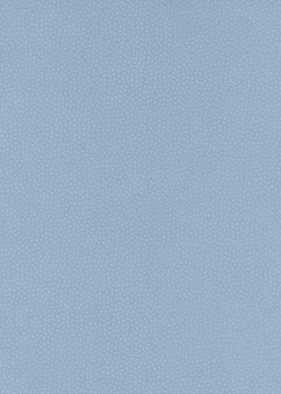 Edo Kosome Blue - Liberties Papers