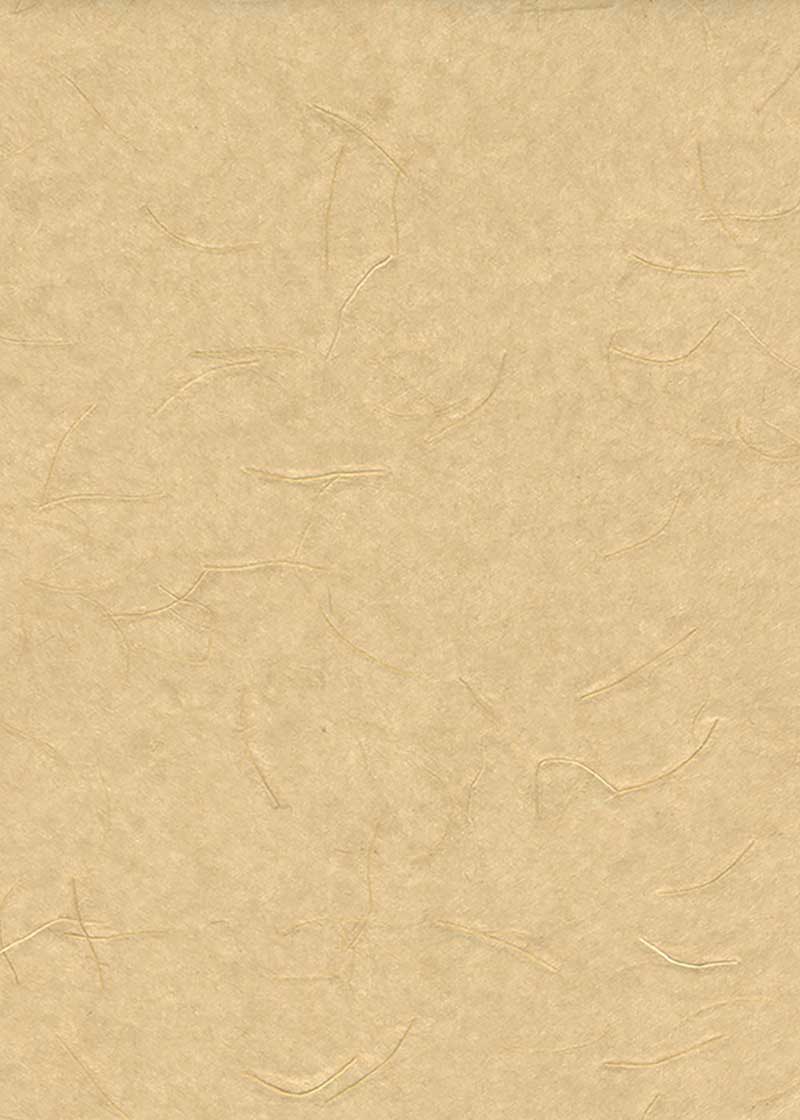 Asagami Usucha - Liberties Papers