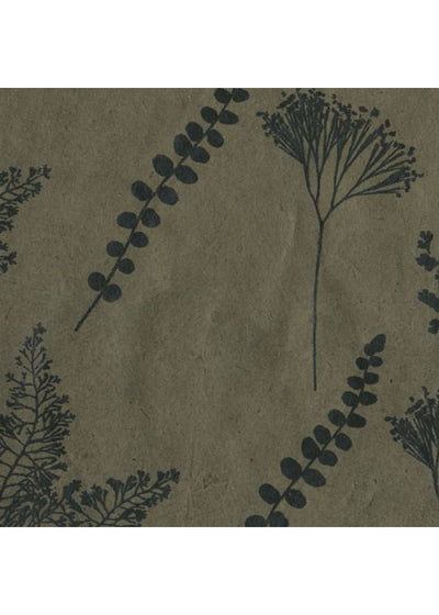 Nepalese Botanique